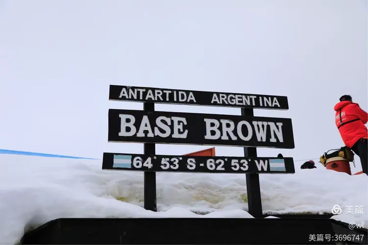 南极洲球队突然退出国际比赛的简单介绍