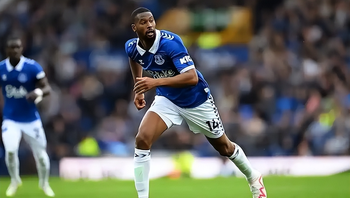 埃弗顿主场不敌强敌，遭遇困境的简单介绍