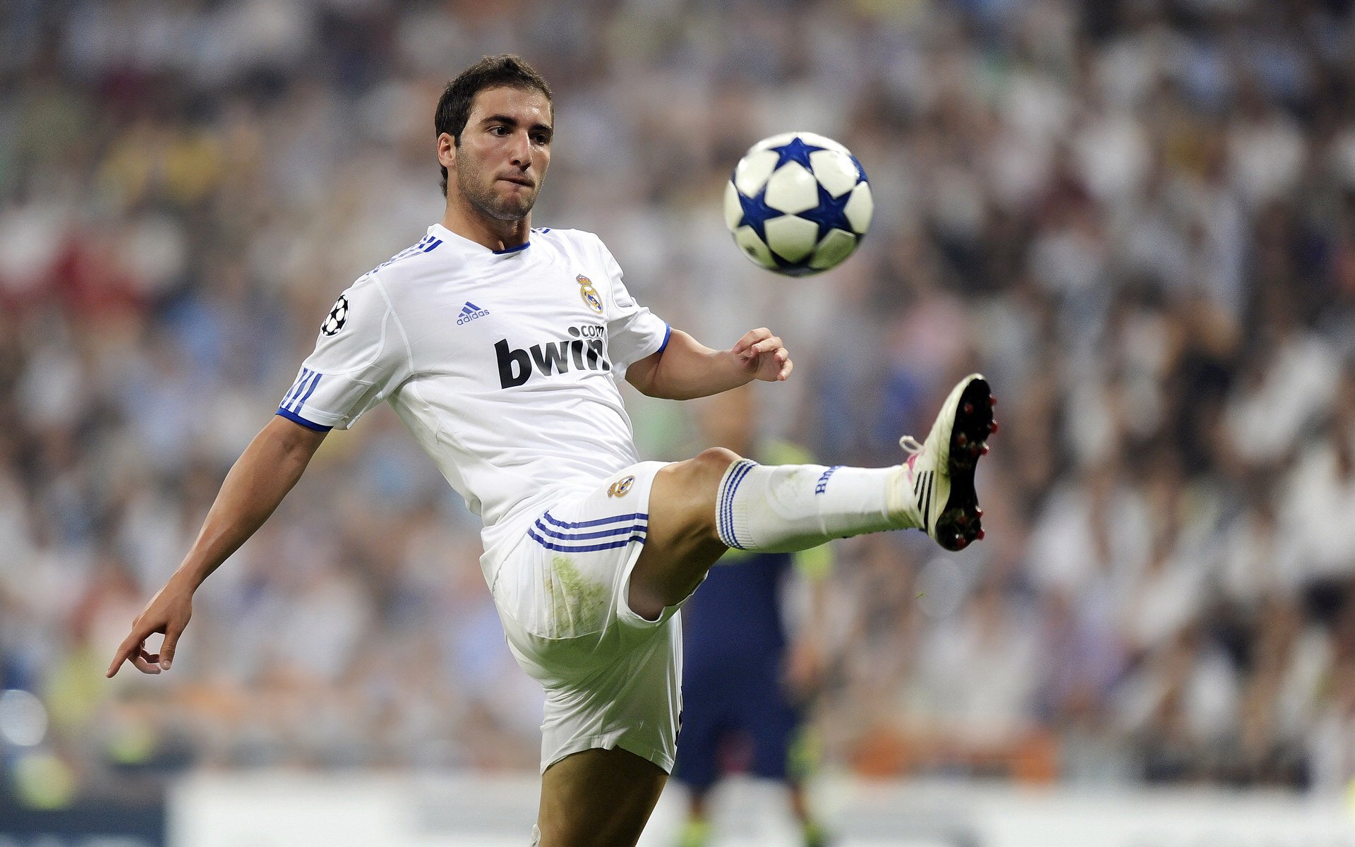 猛龙冰封骑士,当米切尔的火焰遇上绝对零度的围剿