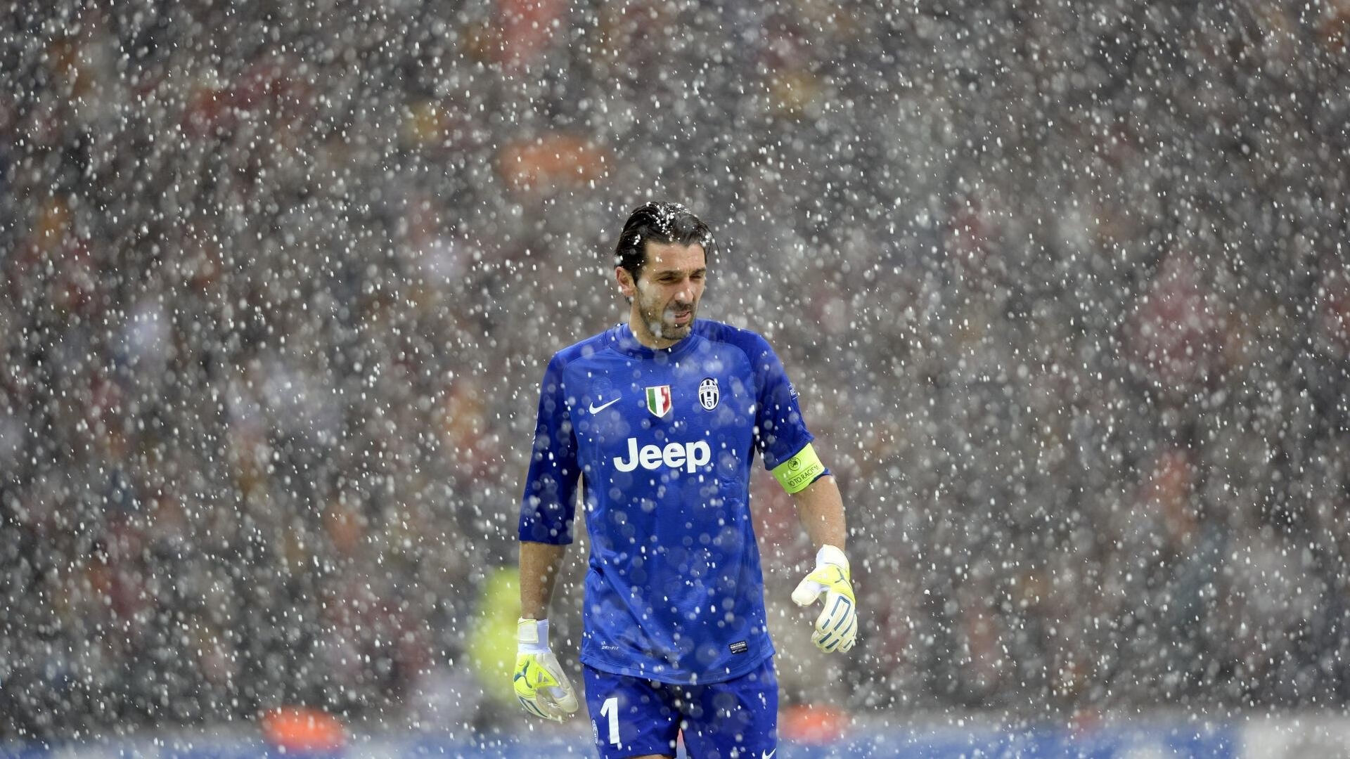 赛道之外，当F1争冠焦点与CBA广东队带走灰熊相遇