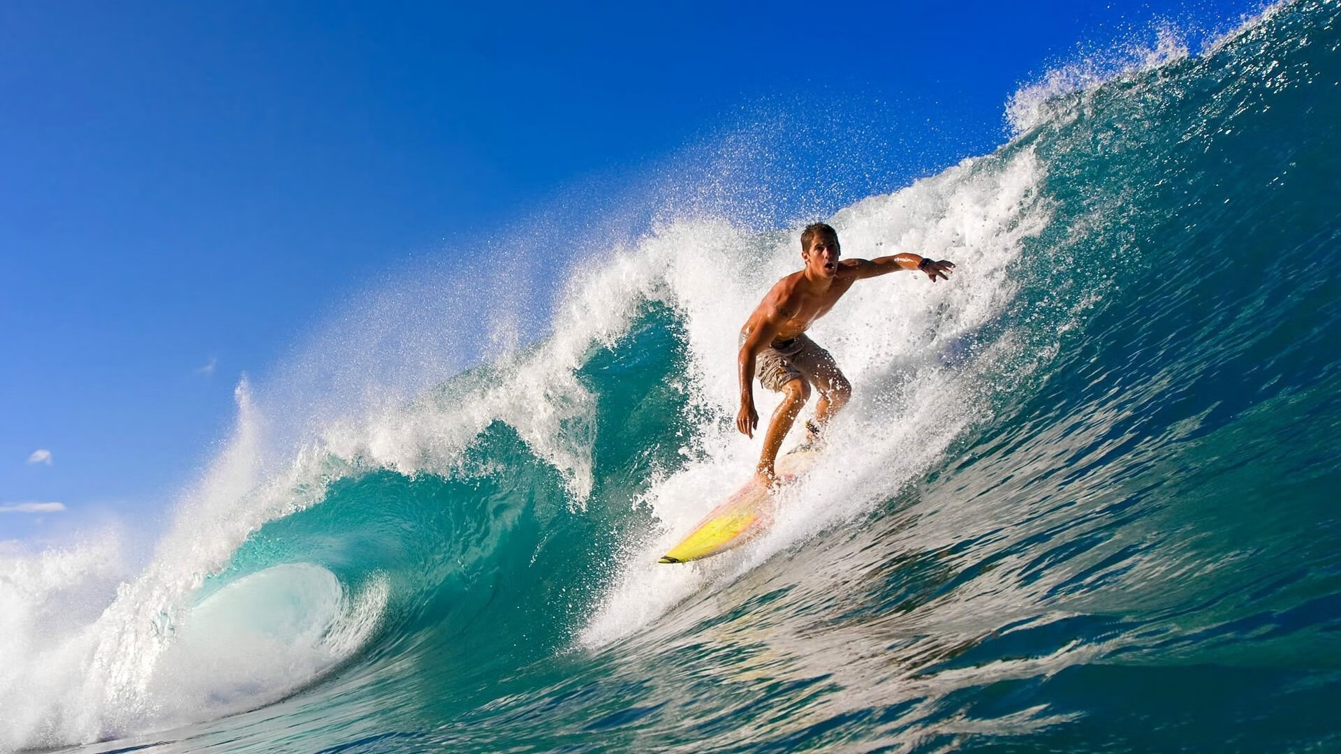 跨界竞技场，浙江队强势晋级启示录，从雄鹿到英超的接管者哲学